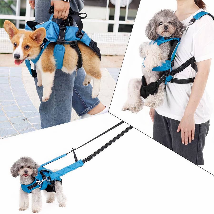 Accessoires de transport pour chien - Niche à Chien