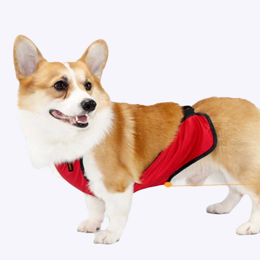Tablier de protection Corgi pour chiens Tablier de protection Corgi pour chiens Vêtement chien couleur: Orange|Rouge|Vert