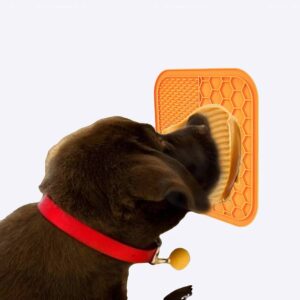 Tapis à lécher pour chien Accessoire chien Gamelle chien couleur: Bleu|Orange
