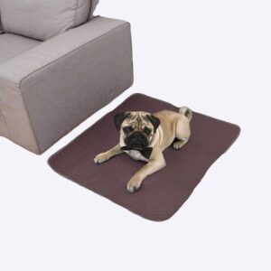 Tapis à pipi 2 pièces pour chien Hygiène chien Litière chien couleur: Marron