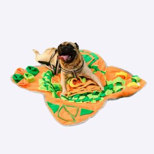 Tapis douillet en forme de fleur pour chien Accessoire chien Jouets pour chien couleur: Orange