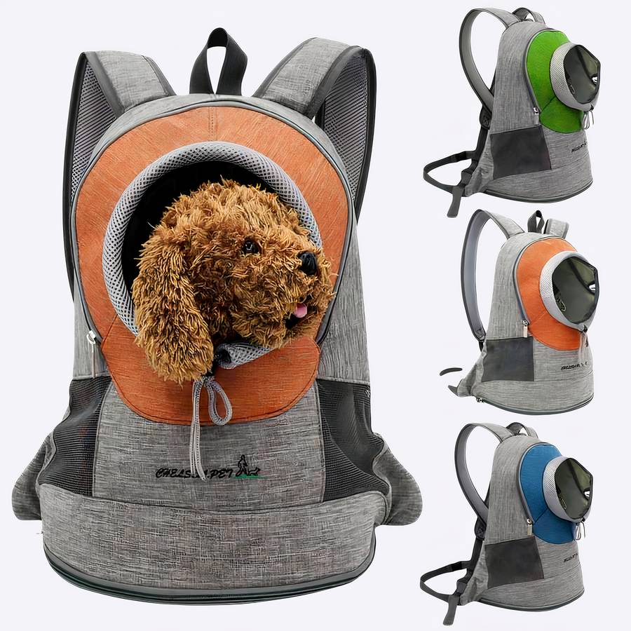 Transat portable pour chien Transat portable pour chien Sac à dos pour chien Transport chien couleur: Bleu|Orange|Vert