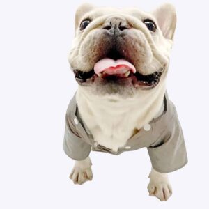 Veste d’été à capuche pour chiens Manteau pour chien Vêtement chien couleur: Gris