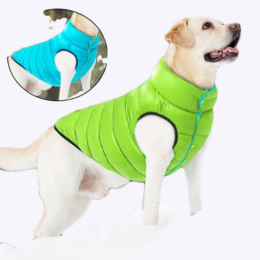 Veste d’hiver pour chien Veste d’hiver pour chien Manteau pour chien Vêtement chien couleur: Rouge|Vert
