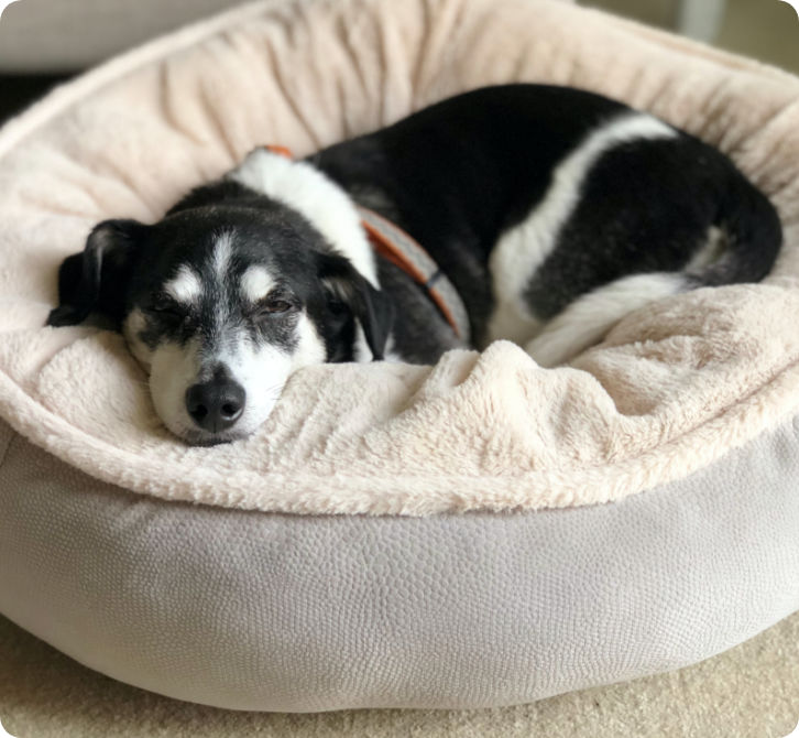 Qui sommes-nous ? couchage