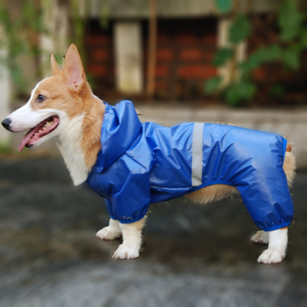 Combinaison à capuche pour chien Manteau pour chien Vêtement chien couleur: Bleu|Jaune|Rouge