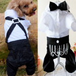 Costume de mariage chic pour chien Manteau pour chien Vêtement chien couleur: Blanc