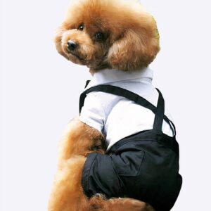 Costume de mariage chic pour chien Manteau pour chien Vêtement chien couleur: Blanc