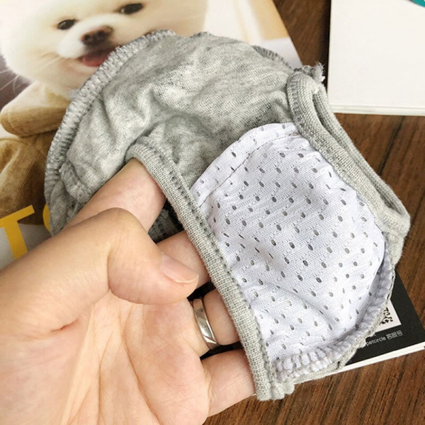 Couche-culotte en dentelle pour chiens Vêtement chien couleur: Gris