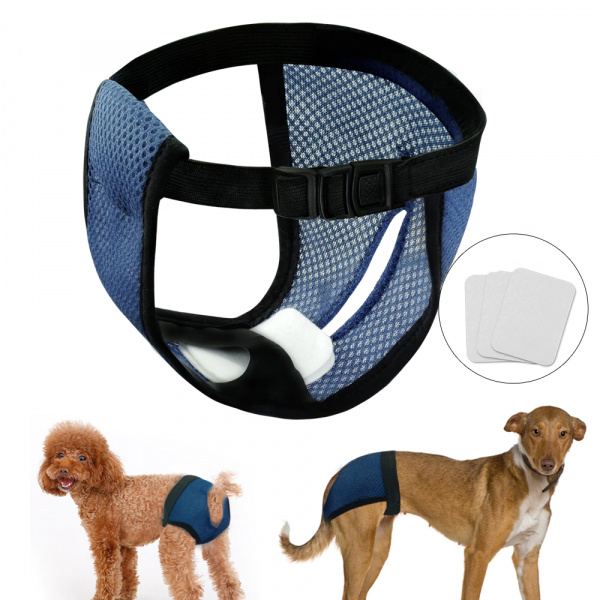 Couches pour animaux de compagnie Vêtement chien couleur: Bleu