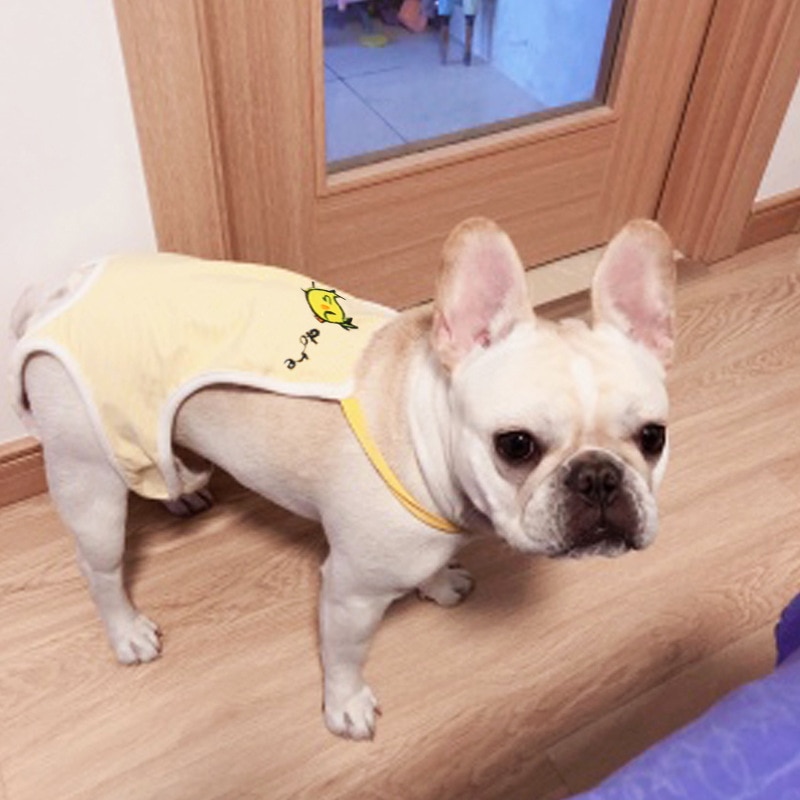 Culotte lavable en coton pour chien Vêtement chien a7796c561c033735a2eb6c: Jaune|Rose