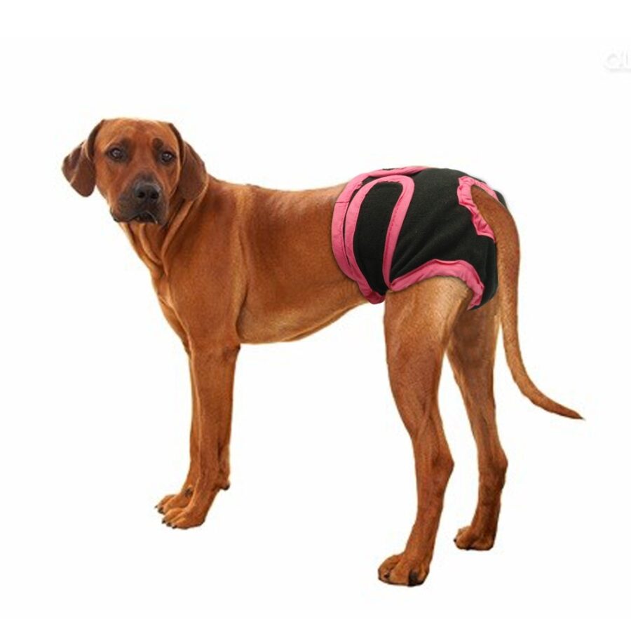 Culottes pour chien,sous-vêtements, couches pour animaux domestiques Accessoire chien Vêtement chien couleur: Noir|Violet
