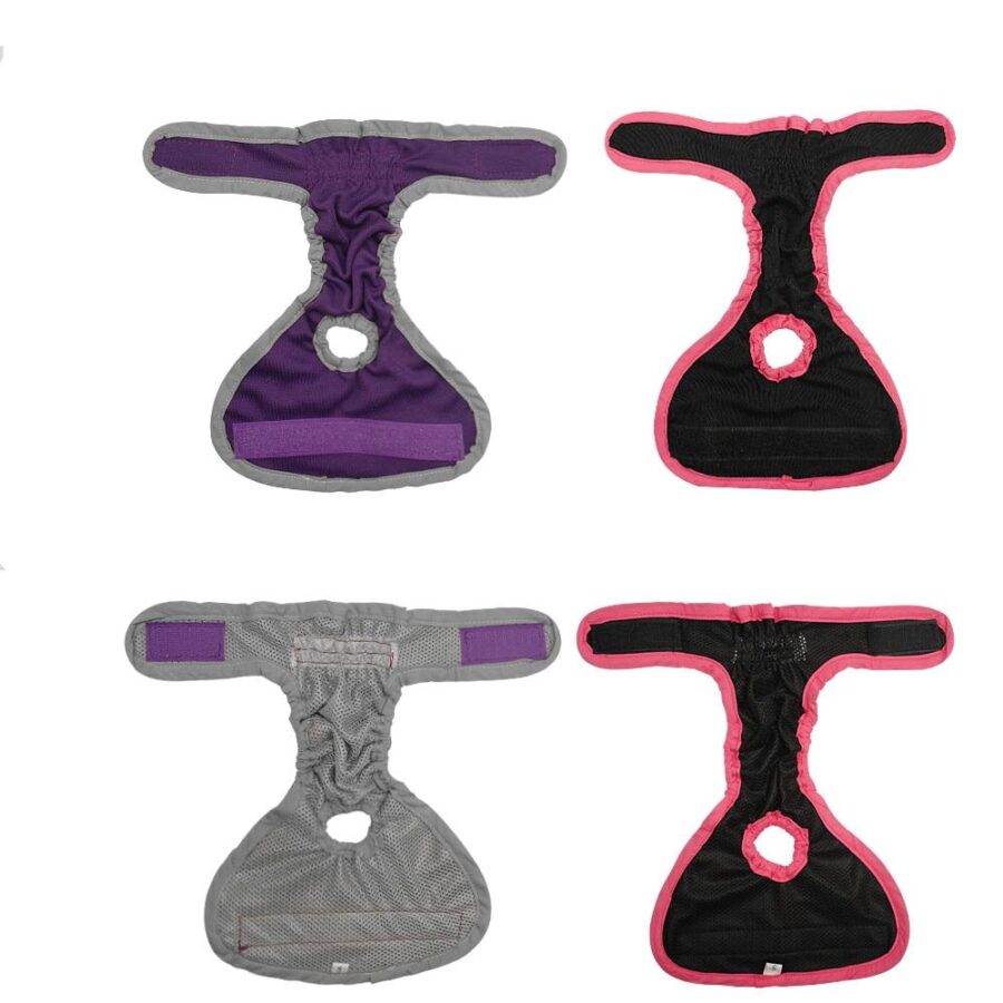 Culottes pour chien,sous-vêtements, couches pour animaux domestiques Accessoire chien Vêtement chien couleur: Noir|Violet