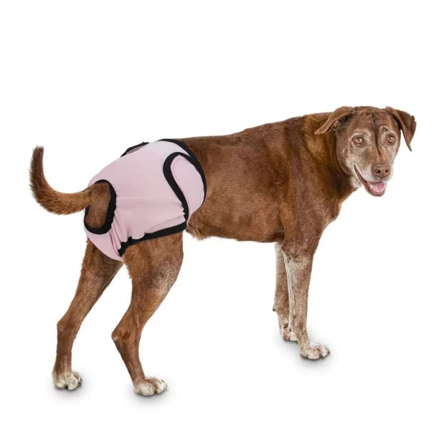 Culotte short pour chien, couche-culotte physiologique pour animaux de compagnie chiens – Image 6