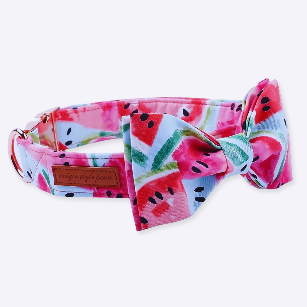 Collier à motif de pastèque pour chien Accessoire chien Collier chien couleur: Rose
