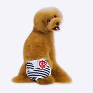 Couche-culotte physiologique pour chiens Vêtement chien Taille: S Couleur: Bleu