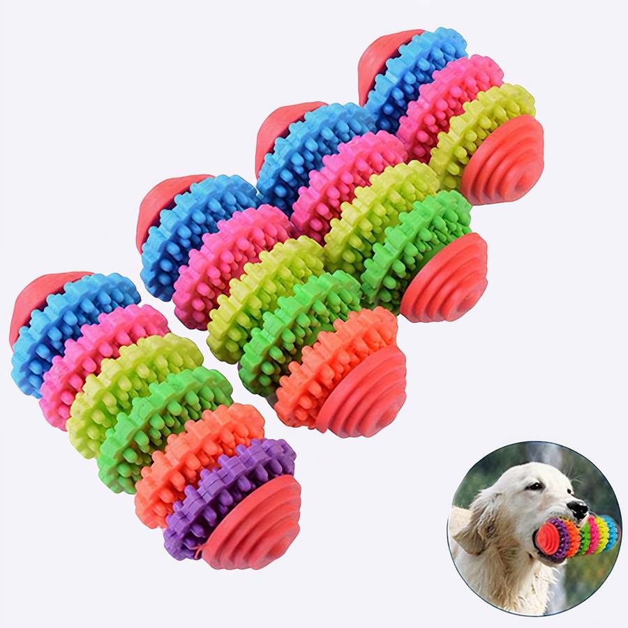 Jouets Flottants Pour Chien 4 Pièces - Piscine, Plage, Lac - Matériau TPR Résistant, Avec Couineurs - Pour Jeux Aquatiques Et Exercice
