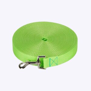 Laisse de contrôle pour chien Accessoire chien Laisse chien Longe pour chien Taille: XS Couleur: Vert clair