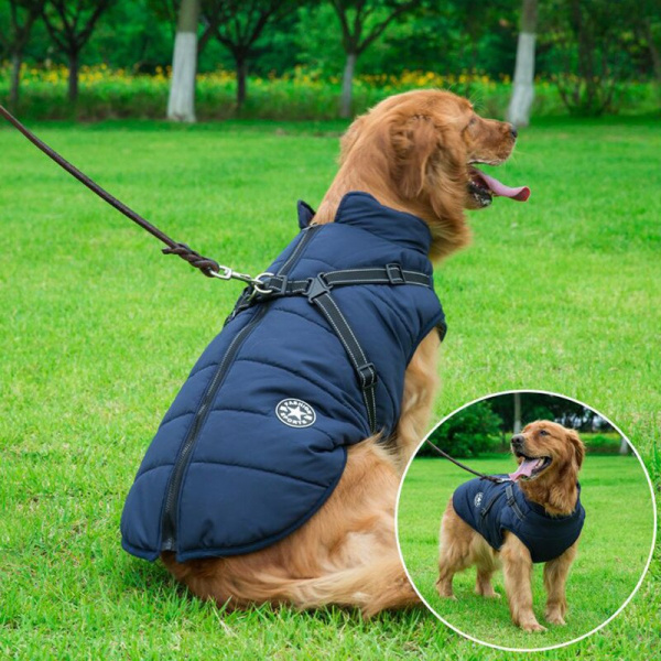 Manteau avec harnais pour chien Manteau pour chien Ventes privées Vêtement chien couleur: Bleu|Noir|Rouge|Vert|Violet