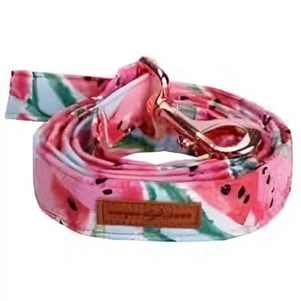 Collier à motif de pastèque pour chien Collier à motif de pastèque pour chien – Image 4