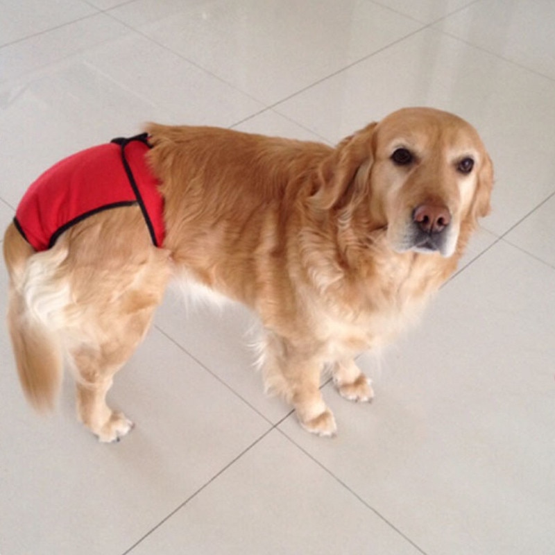 Sous-vêtement couche pour chien Vêtement chien a7796c561c033735a2eb6c: Bleu|Camouflage|Jaune|Noir|Orange|Rose|Rouge