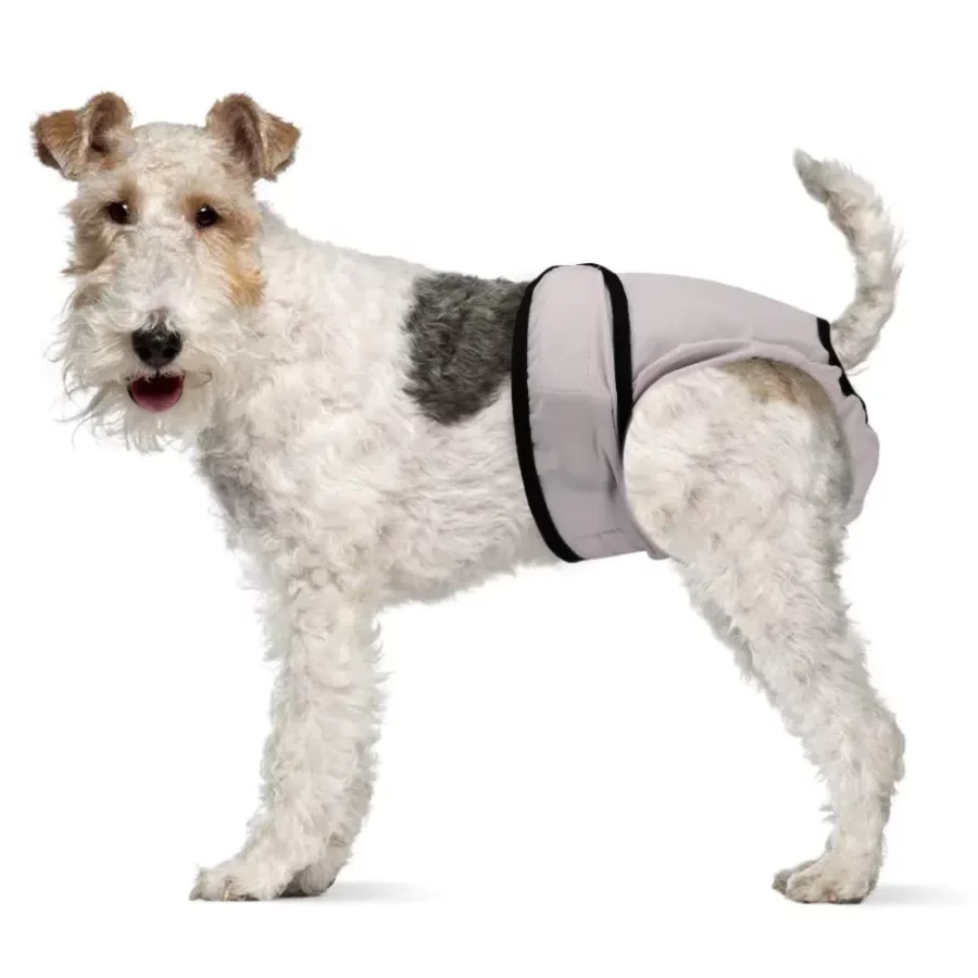 Culotte short pour chien, couche-culotte physiologique pour animaux de compagnie chiens – Image 8