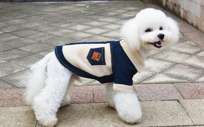 Manteau hivernal pour chien en jean Manteau pour chien Vêtement chien a7796c561c033735a2eb6c: Bleu|Bleu marine