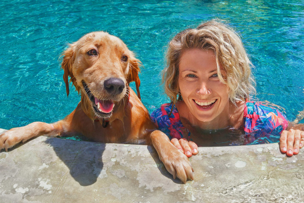 Nos méthodes pour rafraichir un chien