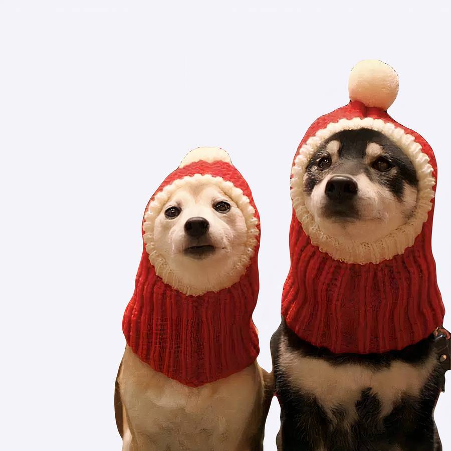 Chapeau de noël pour chiens Chapeau de noël pour chiens Vêtement chien taille: XS|S|M|L|XL