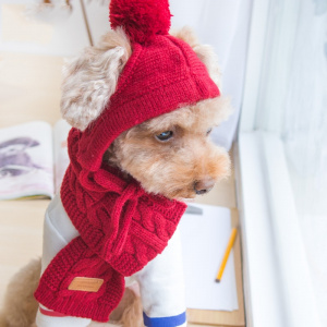 Chapeaux tricotés de luxe pour animaux de compagnie Vêtement chien couleur: Gris|Noir|Rouge