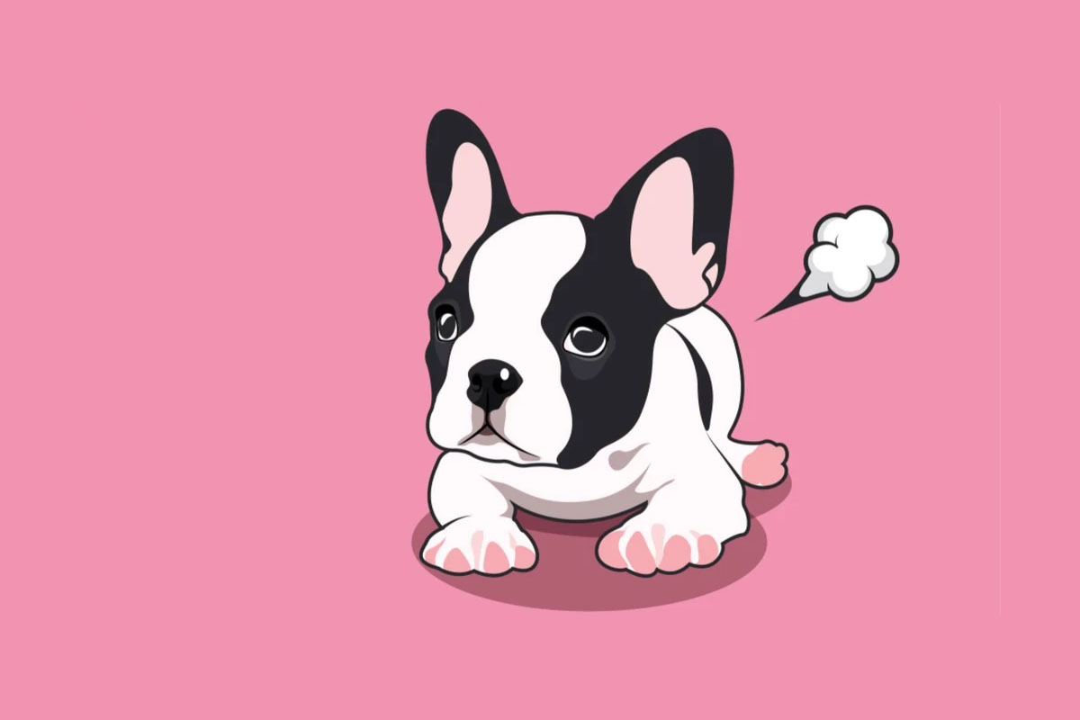 Chien qui pète beaucoup