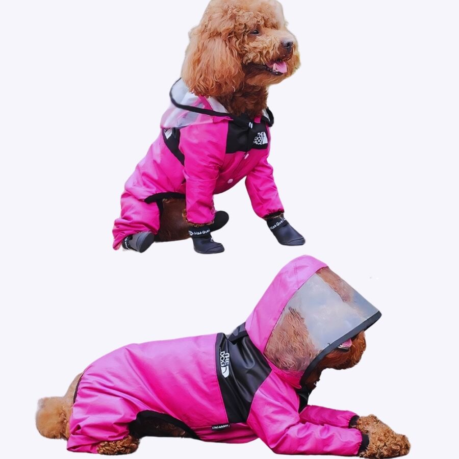 Combinaison imperméable pour petit chien. Il y a une capuche avec une visière transparente, il recouvre tout le corps et se referme sur la partie ventrale du chien.