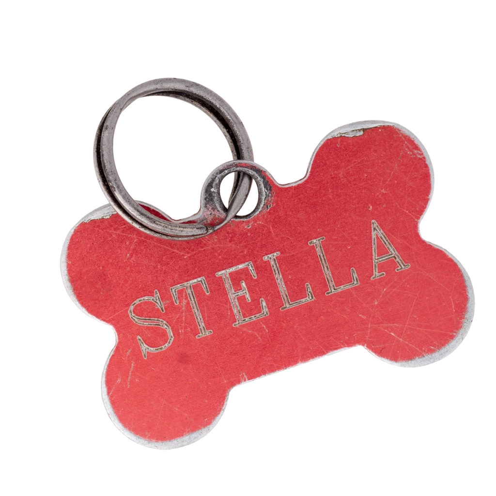 Un medaillon pour collier chien de la forme d'un os. Le médaillon est rose et porte le nom du chien "Stella" dessus.