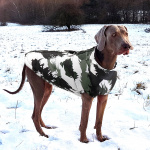 Veste d’hiver imperméable pour chiens Manteau pour chien Vêtement chien a7796c561c033735a2eb6c: Noir|Rose|Rouge