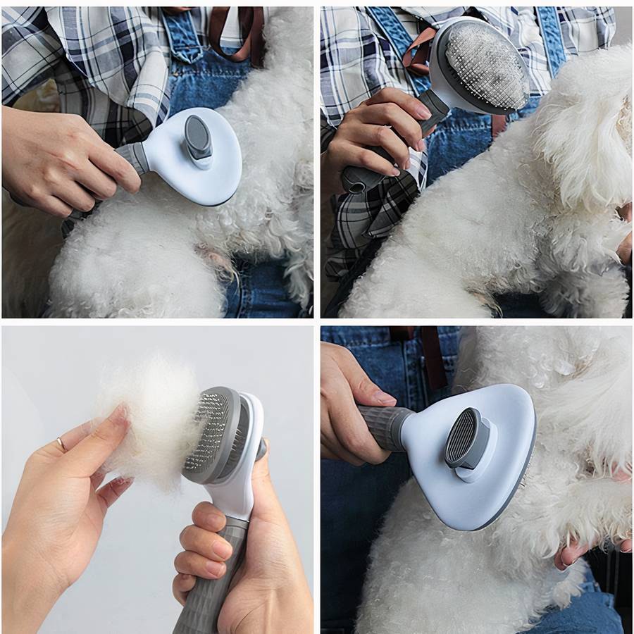 Brosse de toilettage autonettoyante pour chiens Hygiène chien couleur: Bleu|Gris|Rose|Vert
