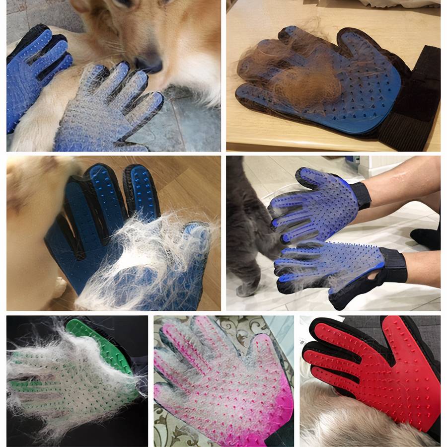 Gant de toilettage et massage pour chien Hygiène chien couleur: Bleu|Rouge|Vert|Violet