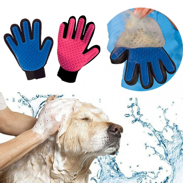 Gant de toilettage et massage pour chien Hygiène chien couleur: Bleu|Rouge|Vert|Violet