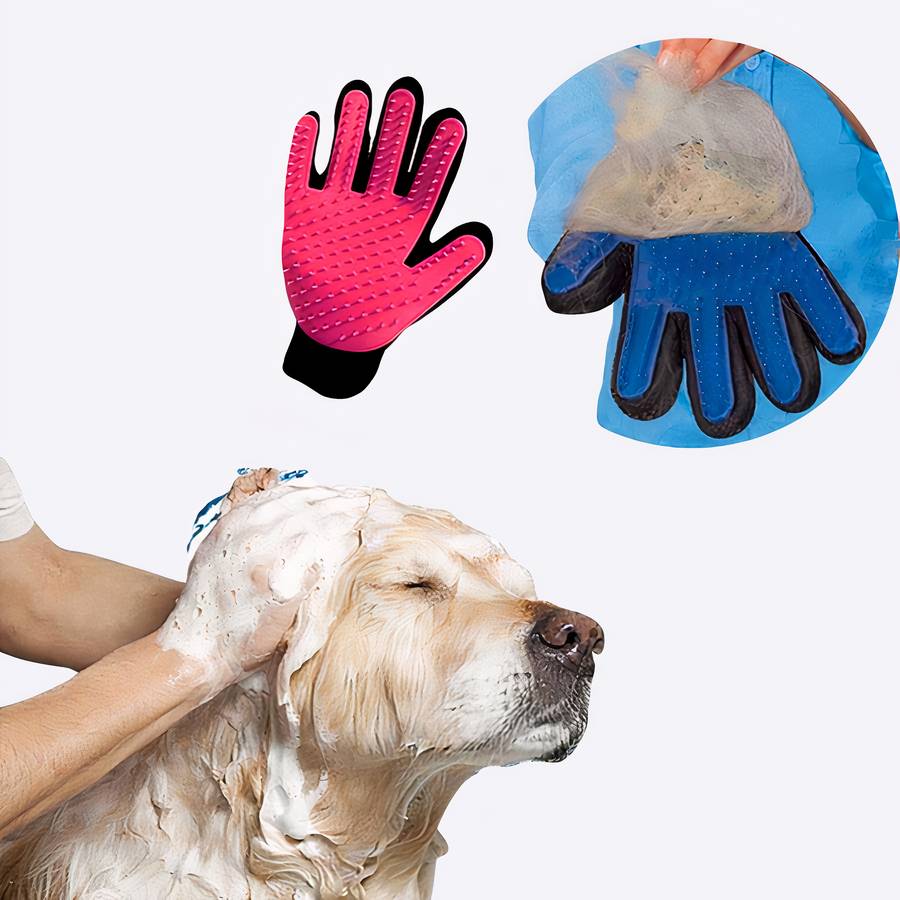 Gant de toilettage et massage pour chien Hygiène chien couleur: Bleu|Rouge|Vert|Violet