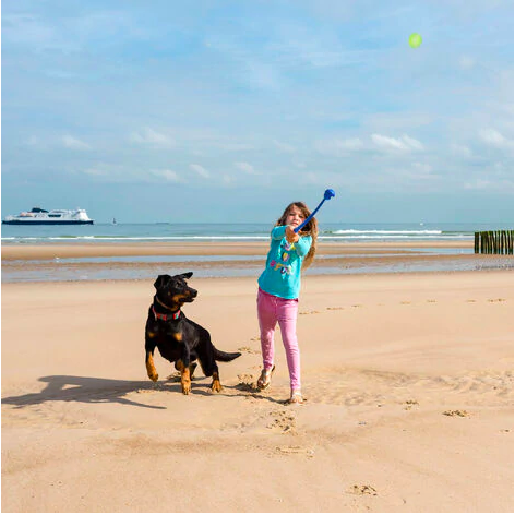 Lanceur de balle pour chien Jouets pour chien Accessoire chien couleur: Bleu|Rose|Vert