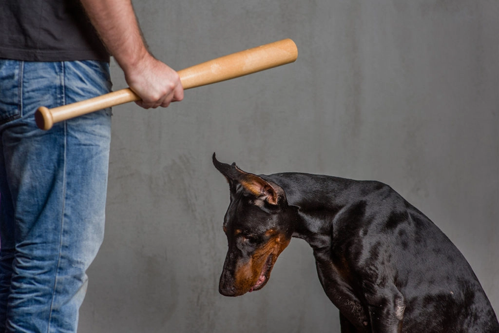 Un homme en jeans avec une batte de baseball à la main devant un grand chien noir effrayé d'être battu