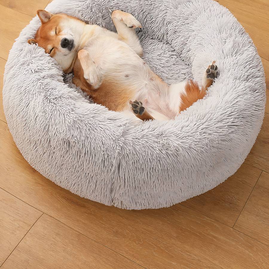 panier peluche pour chien