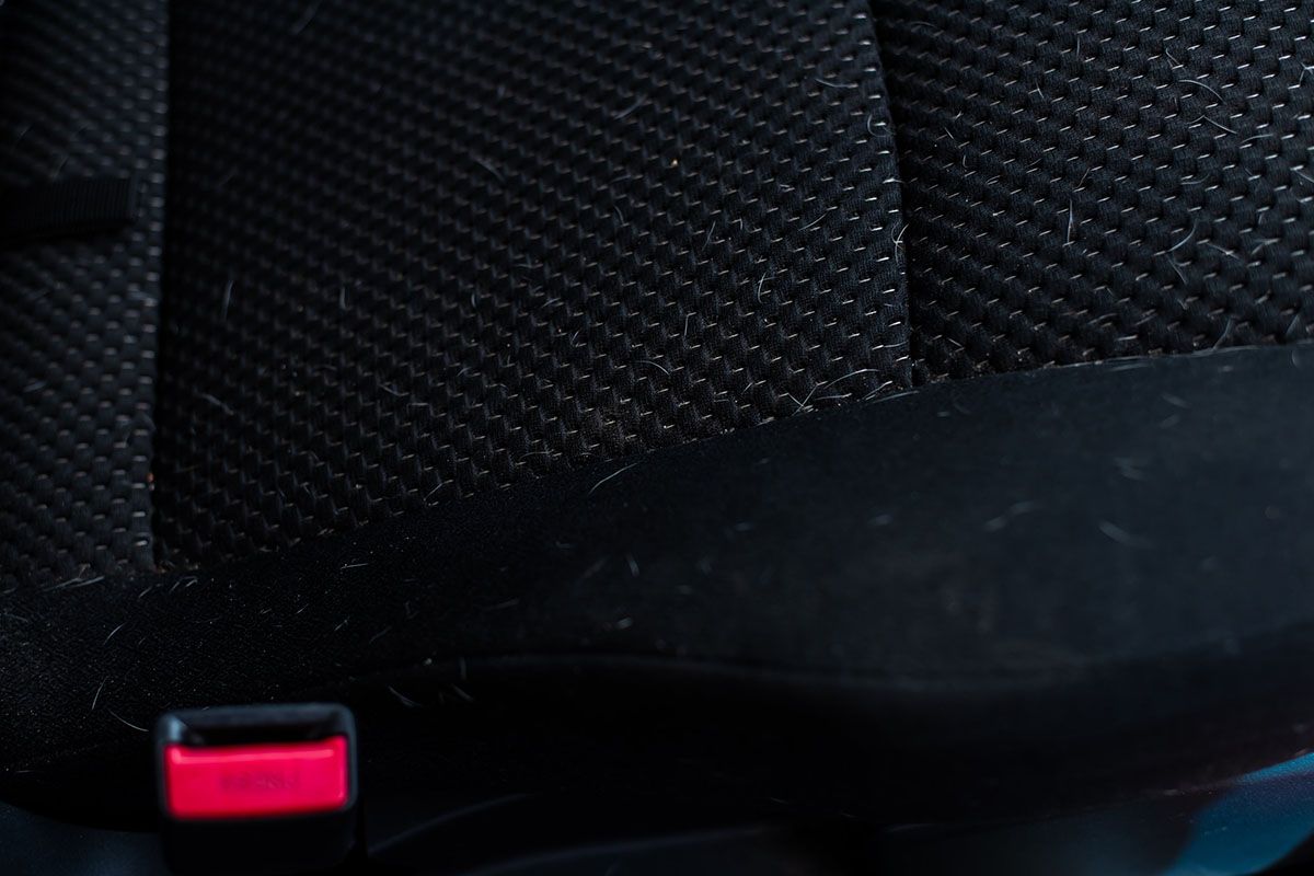 Des poils de chien blanc incrustés dans un siège de voiture noir