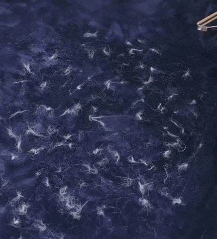 Siège auto pour chien pliable et sécurisant Siege auto pour chien pliable et securisant