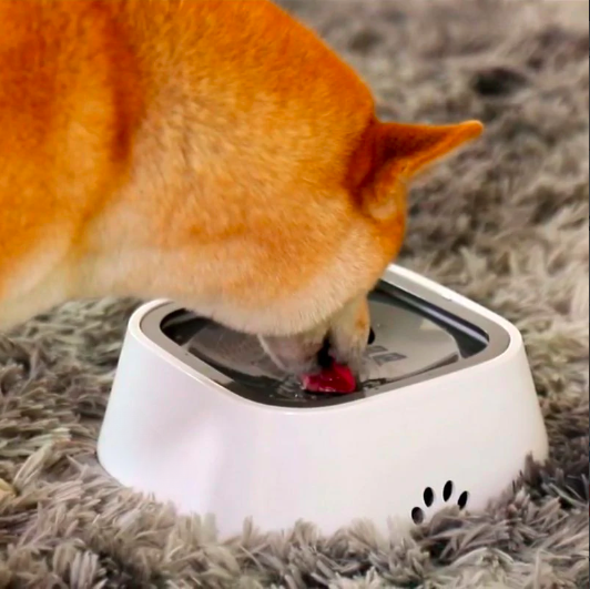 Gamelle anti débordement 1.5L pour chien Gamelle anti debordement 2