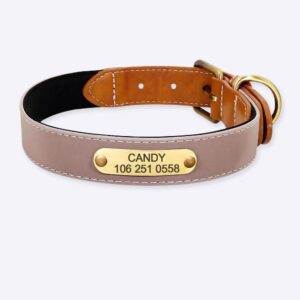 Collier en simili cuir personnalisé pour chat Accessoire chien Collier chien couleur: Beige|