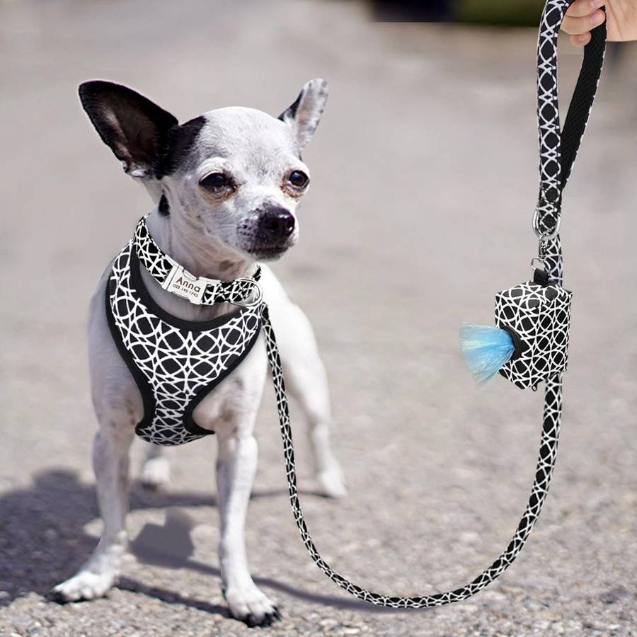 Ensemble accessoire avec collier personnalisé pour chien - ABC chiens