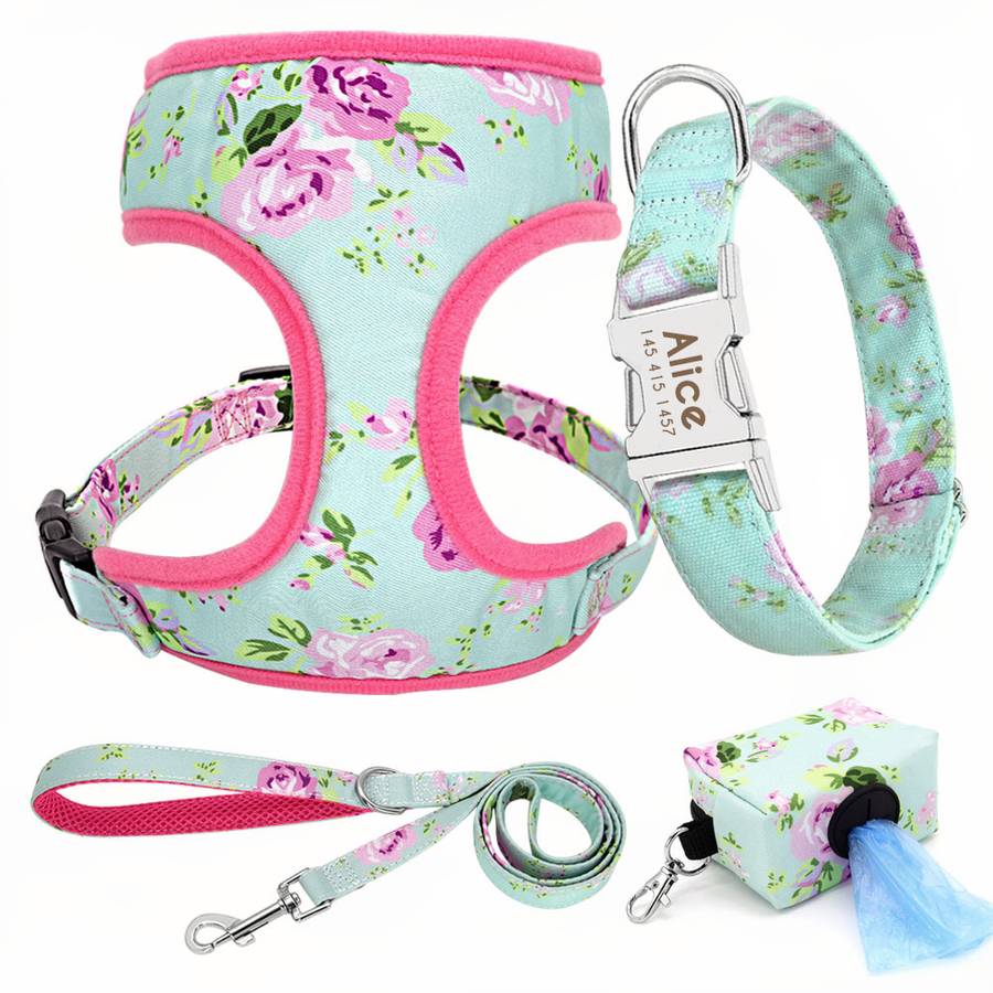 Ensemble accessoire avec collier personnalisé pour chien - ABC chiens