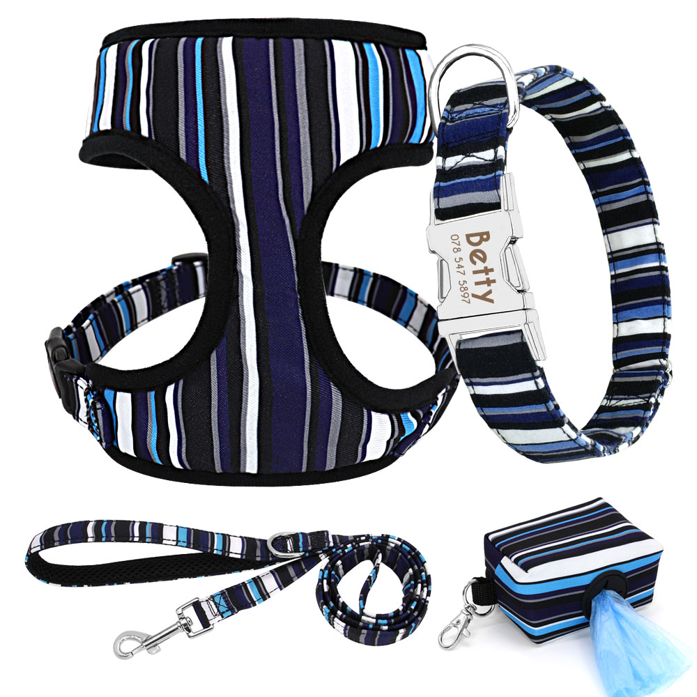 Ensemble accessoire avec collier personnalisé pour chien - ABC chiens