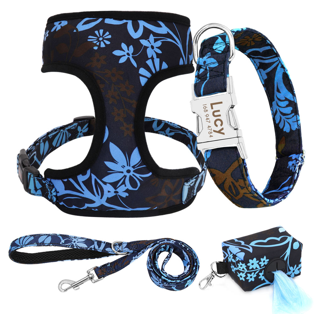 Ensemble accessoire avec collier personnalisé pour chien - ABC chiens