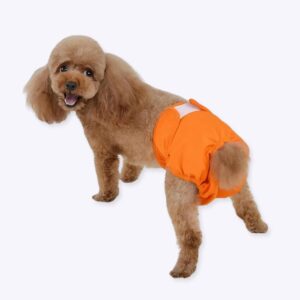 Culotte lavable couleur unie pour chien Culotte Pour Chien Vêtement chien couleur: Orange|